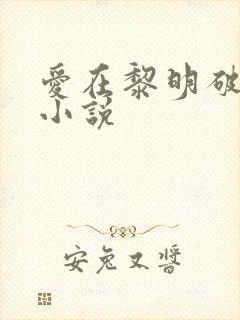 爱在黎明破晓前小说