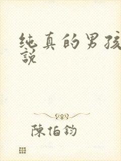 纯真的男孩子小说