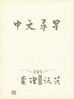 中文寻星