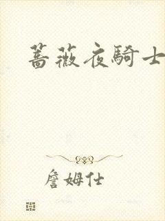 蔷薇夜骑士