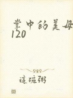 掌中的美母版主120