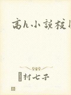 高h小说校园