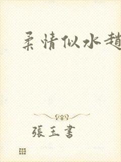 柔情似水赵雅儿