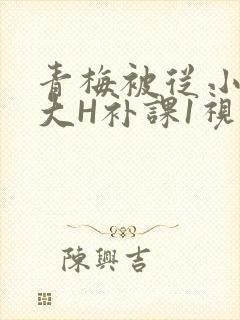 青梅被从小摸到大H补课1视频
