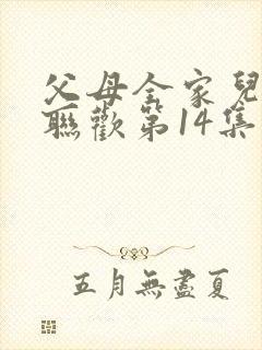 父母全家儿女大联欢第14集