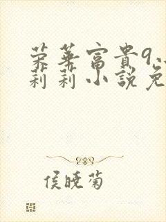 荣华富贵9小王莉莉小说免费阅读