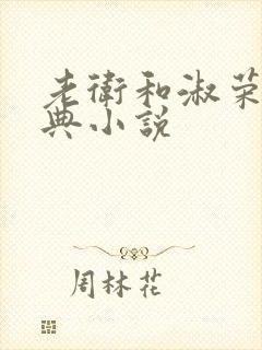 老卫和淑荣的经典小说