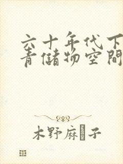 六十年代下乡知青储物空间