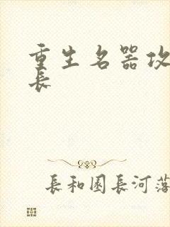 重生名器攻略兄长