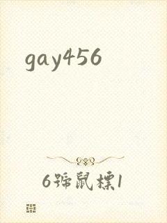 gay456