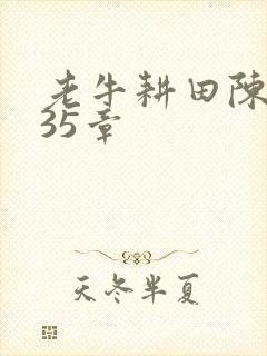 老牛耕田陈雪435章