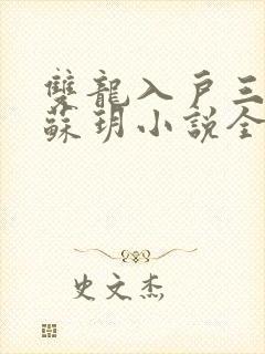 双龙入户三人行苏玥小说全文阅读