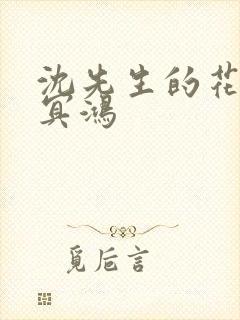 沈先生的花式调冥鸿