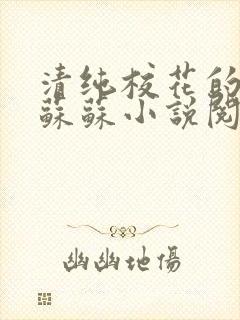 清纯校花的日常苏苏小说阅读全文