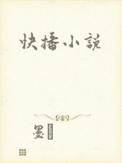 快播小说