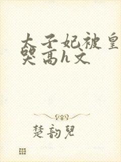 太子妃被皇上c哭高h文