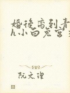 婚后脔到青梅哭h小白兔宫交h