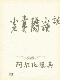 小青梅小说全文免费阅读