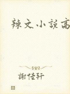 辣文小说高h
