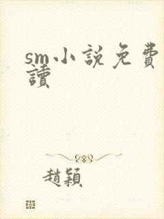 sm小说免费阅读