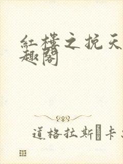 红楼之挽天倾笔趣阁