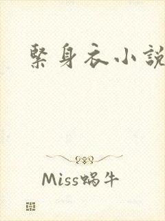 紧身衣小说