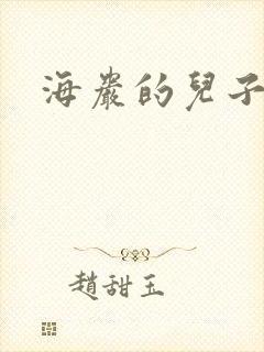 海岩的儿子