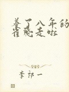 养了八年的金丝雀飞走啦