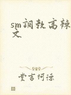 sm调教高辣h文