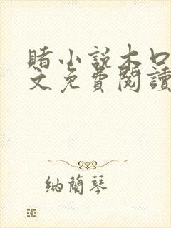 赌小说木口银全文免费阅读笔趣阁