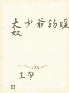 大少爷的暖床小奴