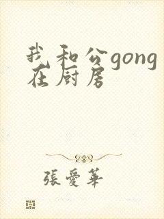 我和公gong在厨房