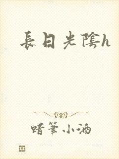 长日光阴h