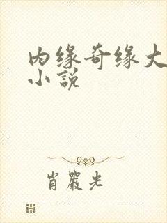 内缘奇缘大团圆小说