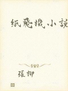 纸飞机小说