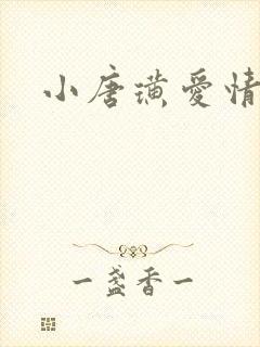 小唐璜爱情历史