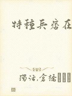 特种兵痞在都市