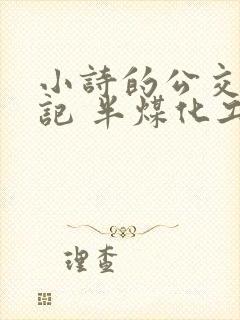 小诗的公交车日记 半煤化工