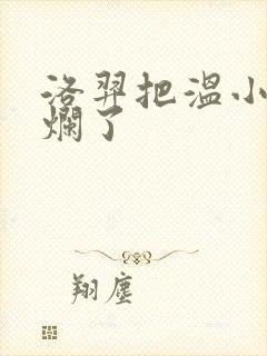 洛羿把温小辉做烂了