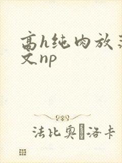 高h纯肉放荡h文np