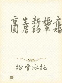 重生新婚夜正在圆房的军婚