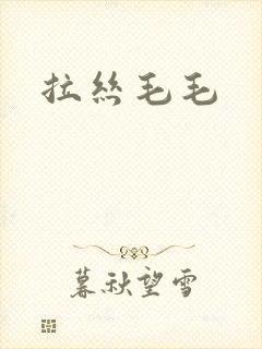 拉丝毛毛