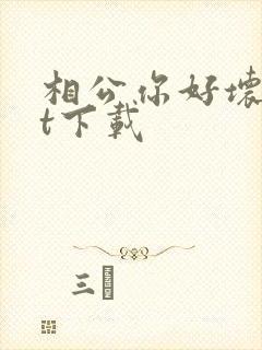 相公你好坏txt下载