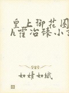 皇上御花园hlh霍冶臻小说