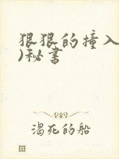 狠狠的撞入(h)秘书