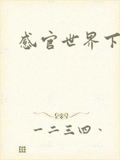 感官世界下载