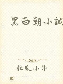 黑白朝小诚