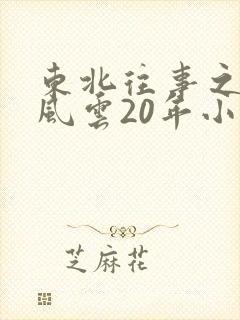 东北往事之黑道风云20年小说