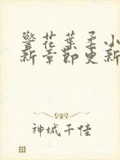 警花叶柔小说最新章节更新