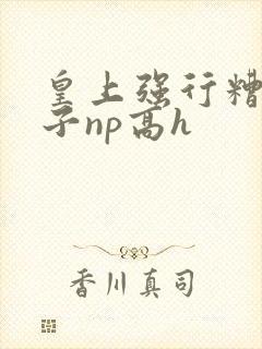 皇上强行糟蹋太子np高h